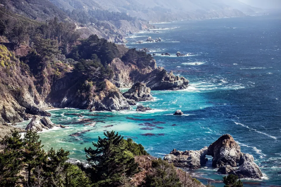 Coastal cypress trees above the Pacific in Monterey County